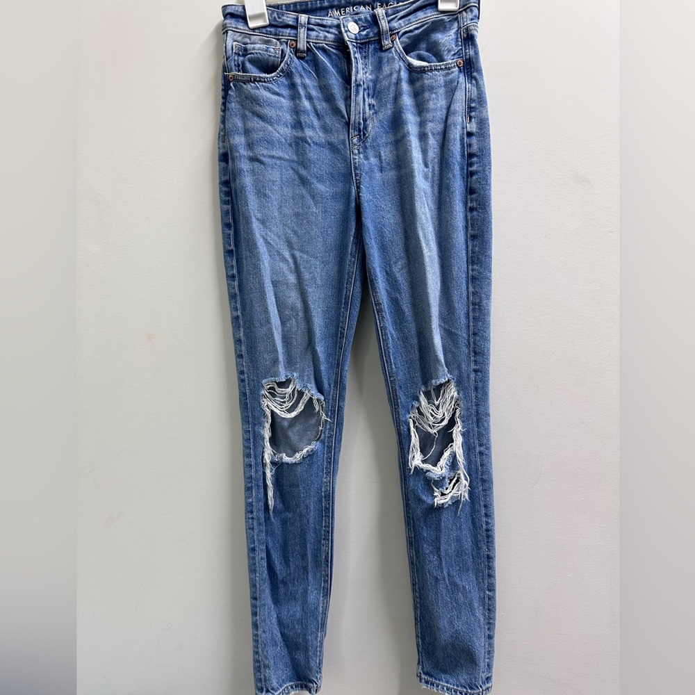 American Eagle Mom Jeans | Size 2 Long